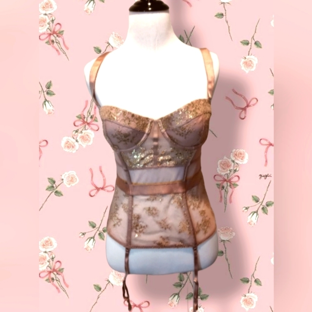Stunning Corset